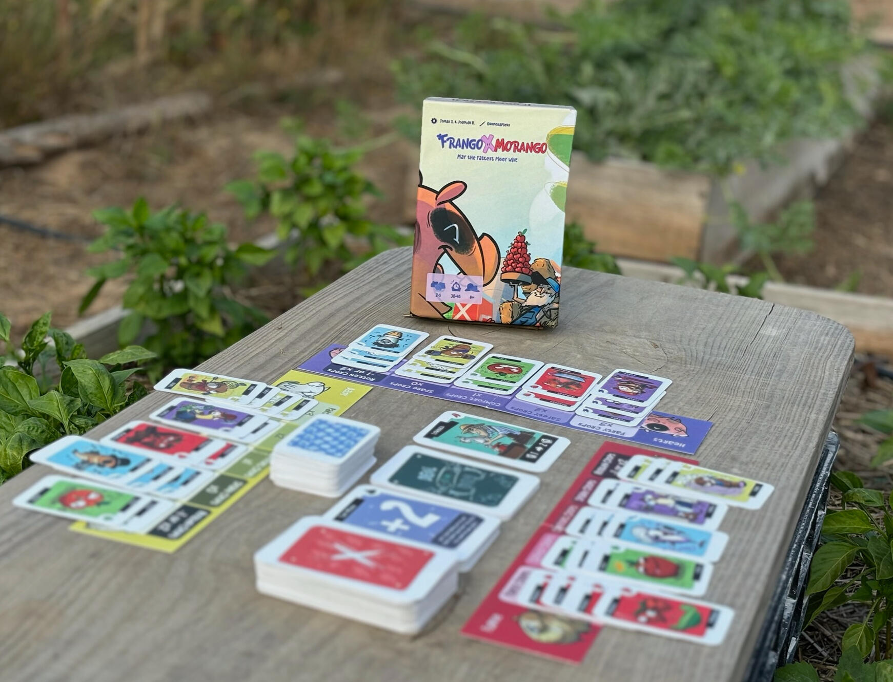 Setup of the game Frango Morango by Not Bored Games